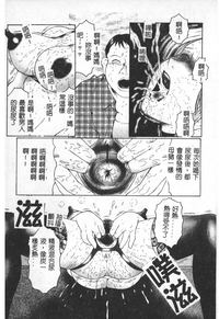 第148頁圖