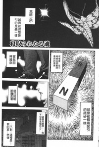 第68頁圖