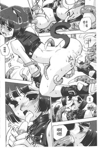 第68頁圖