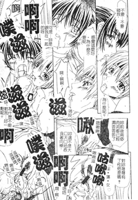 第24頁圖