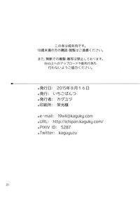 第20頁圖