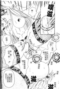 第116頁圖
