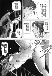 第156頁圖