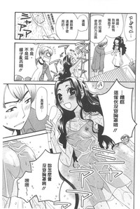 第100頁圖