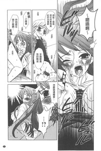 第172頁圖