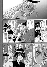 第20頁圖
