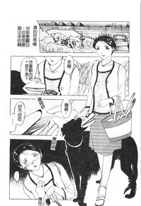 第156頁圖