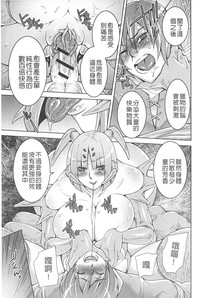 第116頁圖