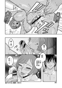 第204页图