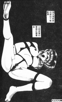 第4页图