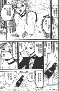 第28頁圖