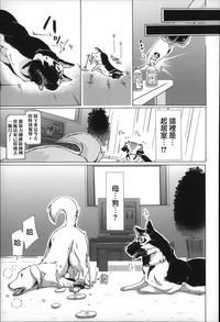 第116页图