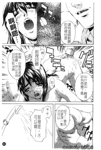 第84頁圖