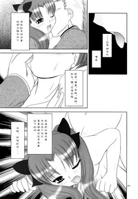 第20页图