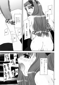 第24页图