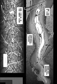 第88頁圖