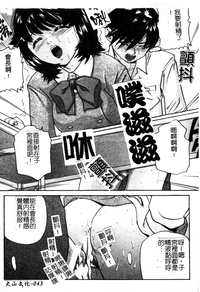 第44頁圖