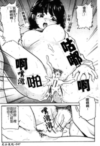 第48頁圖