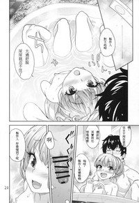 第20頁圖