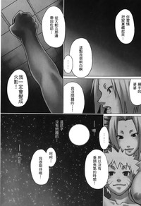第20页图
