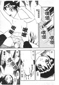 第48頁圖