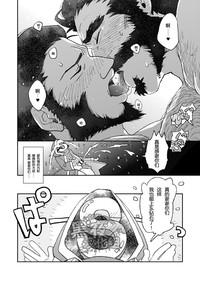 第28頁圖