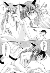 第76頁圖