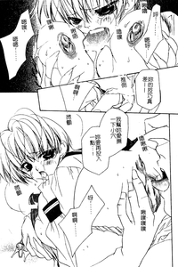 第144頁圖