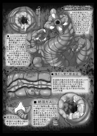 第56頁圖
