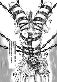 第20頁圖