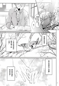 第20頁圖