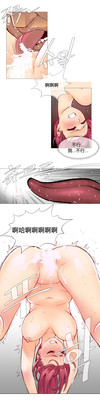 第204頁圖