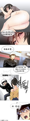 第240頁圖