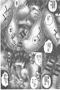 第116頁圖