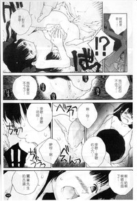 第164頁圖