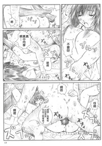 第12页图
