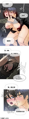 第484頁圖
