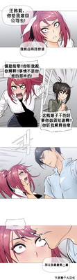 第504頁圖