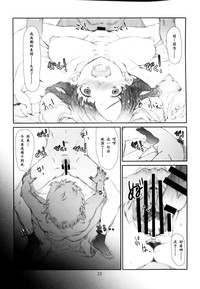 第20頁圖