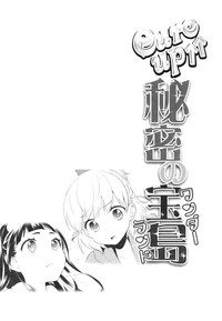 第4页图