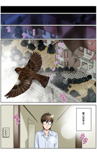 第120頁圖