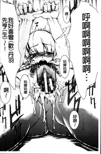 第204頁圖