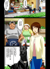 第12頁圖